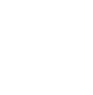 Icono del logo de Daniel Brizuela en blanco